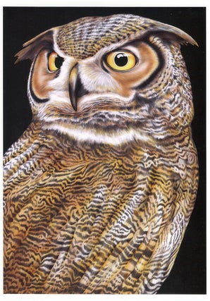 Item #00081476 Great Horned Owl - Greeting Card. Tim Jeffs