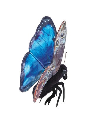 Item #00085775 Blue Morpho Butterfly