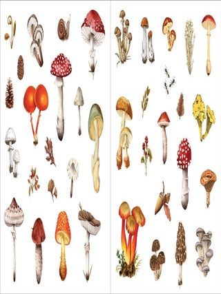 Bunches of Botanicals Sticker Book