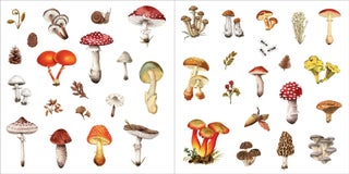 Bunches of Botanicals Sticker Book