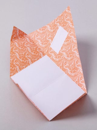 Nature Study Pigeons - Folding Letter Stationery