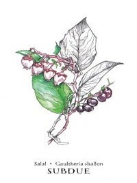 Hedgewitch Botanical Oracle