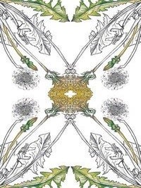 Hedgewitch Botanical Oracle