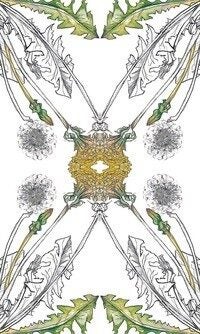 Hedgewitch Botanical Oracle