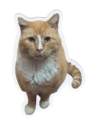Item #00093531 Aeschylus 'Esk' Sticker