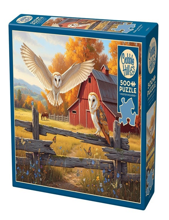 Item #00094081 Barn and Owls