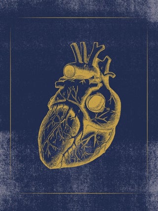 Vintage Anatomy (Slipcase Boxed Notecards)
