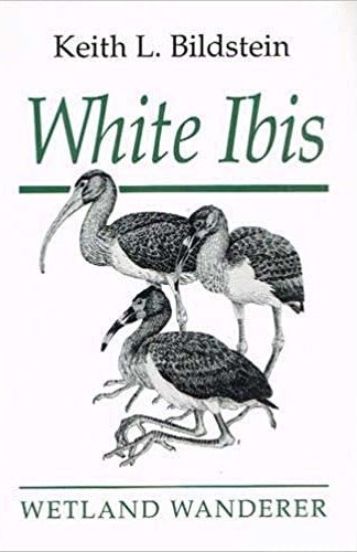 Item #035481 White Ibis: Wetland Wanderer. Keith L. Bildstein.