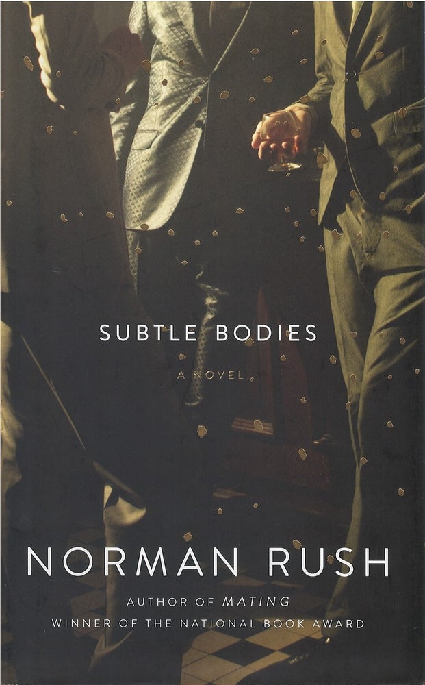 Item #038600 Subtle Bodies. Norman Rush.