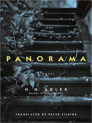 Item #041359 Panorama. H. G. Adler, Peter Filkins, tr