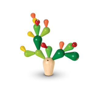 Item #043263 Balancing Cactus