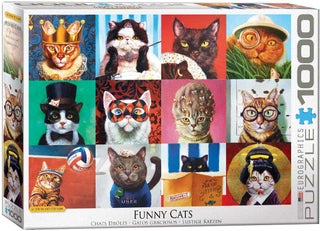 Item #046705 Funny Cats. Lucia Heffernan
