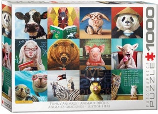 Item #049782 Funny Animals. Lucia Heffernan
