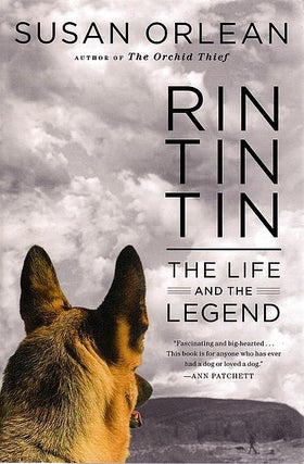 Item #049822 Rin Tin Tin: The Life and the Legend. Susan Orlean