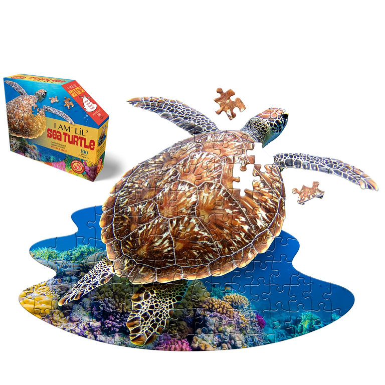 Item #050175 I Am Lil' Sea Turtle