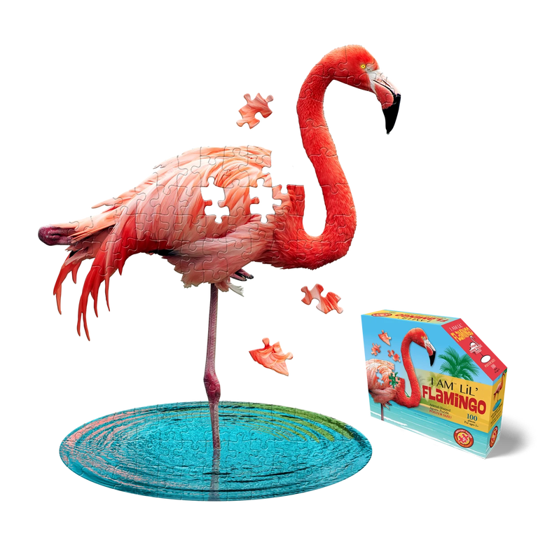 Item #050177 I Am Lil' Flamingo