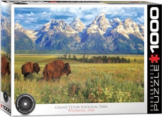 Item #057844 Grand Teton National Park, Wyoming, USA