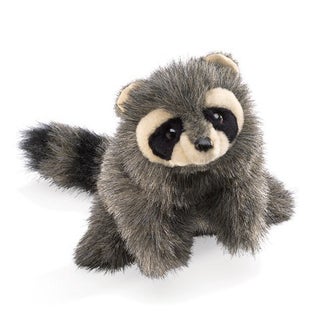 Item #076572 Baby Raccoon