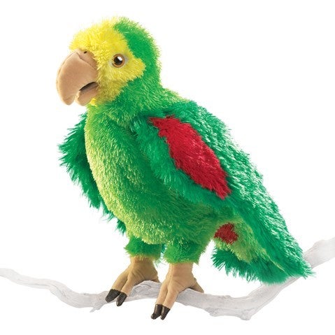 Item #076587 Amazon Parrot