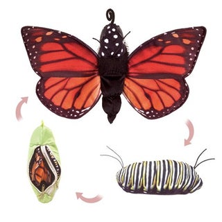 Item #076598 Monarch Butterfly Life Cycle