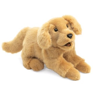 Item #076615 Golden Retriever Puppy