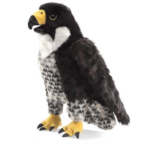Item #076625 Peregrine Falcon
