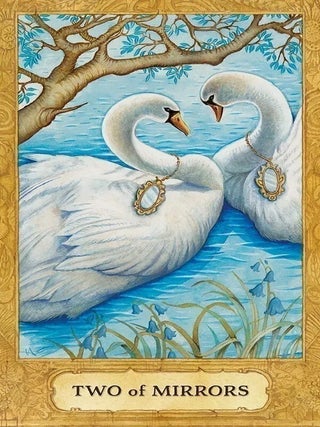 Chrysalis Tarot and Book Set