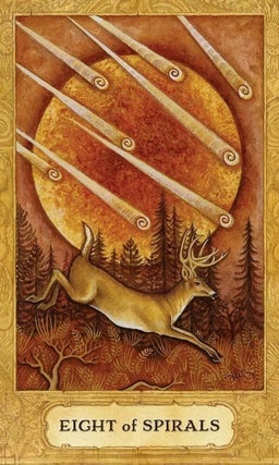 Chrysalis Tarot and Book Set