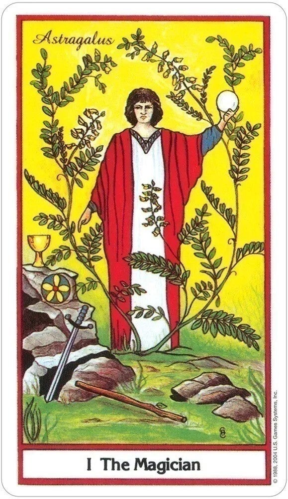 Herbal Tarot | Michael Tierra, Candis Cantin
