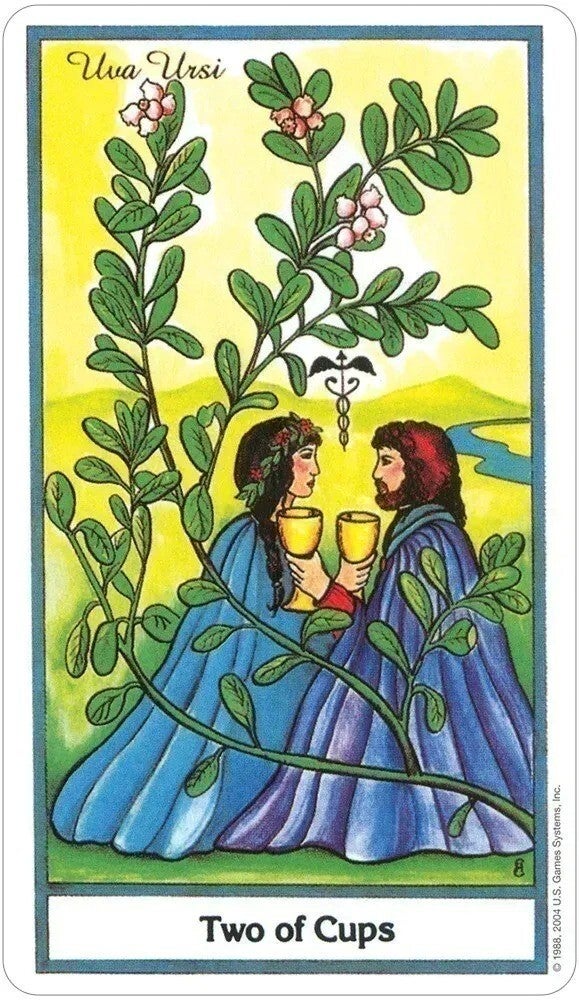 Herbal Tarot | Michael Tierra, Candis Cantin