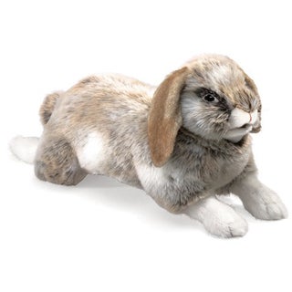 Item #78886 Holland Lop Rabbit