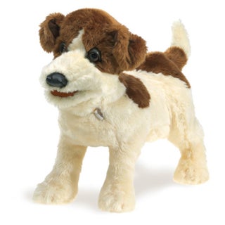Item #78908 Jack Russell Terrier