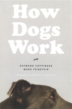 Item #80623 How Dogs Work. Raymond Coppinger, Mark Feinstein