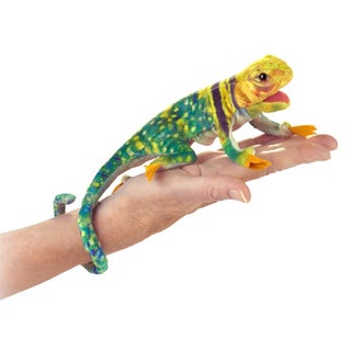 Item #81043 Mini Collared Lizard
